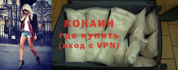 гидра Вяземский