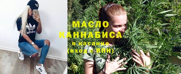 гидра Вяземский