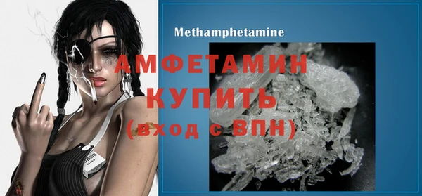 гидра Вяземский