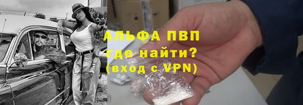 гидра Вяземский