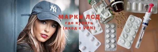 гидра Вяземский