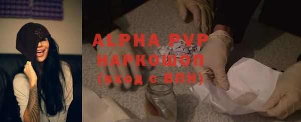 гидра Вяземский