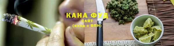 гидра Вяземский