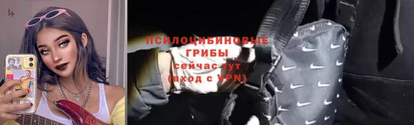 гидра Вяземский