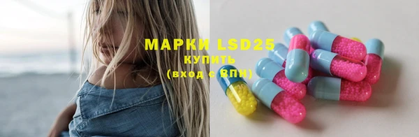гидра Вяземский