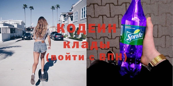гидра Вяземский