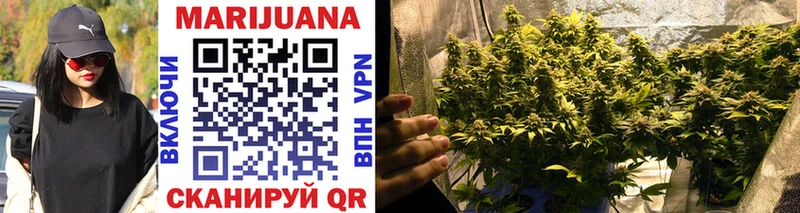 Бошки Шишки THC 21%  Переславль-Залесский 